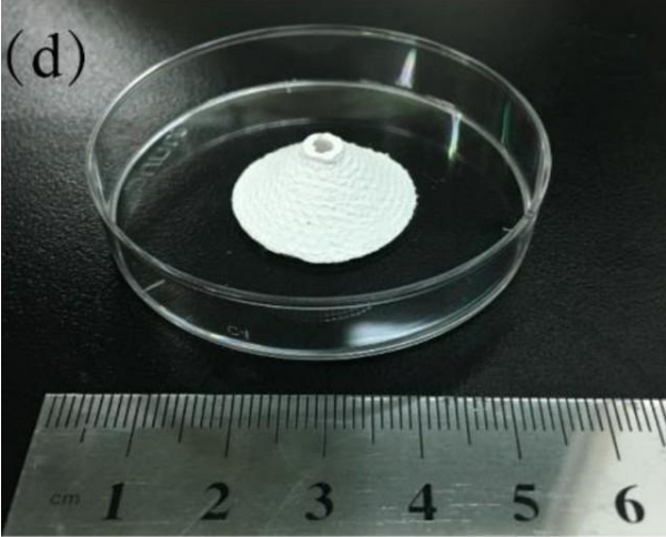 清华研究人员3D打印植入物可抑制HPV感染